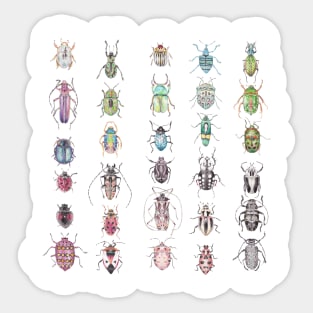 Beetles in a rainbow of colors Sticker